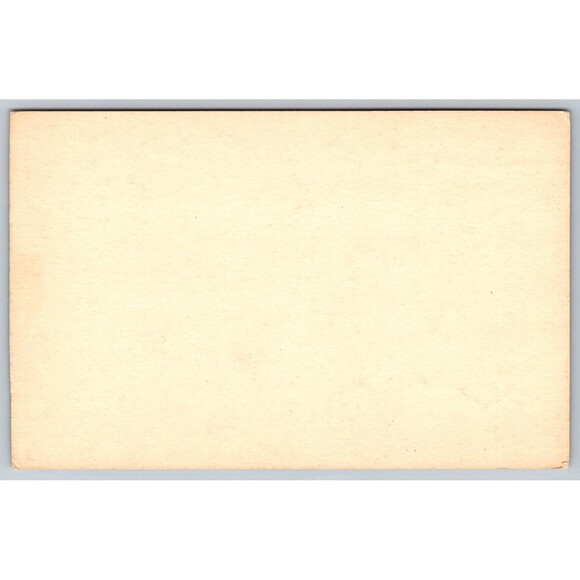 Picture Postcard Maine Woods Buck and Doe Deer RPPC No Back c1910s Antique B&W - Picture 2 of 4